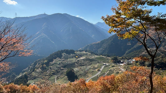 岐阜のマチュピチュへ!